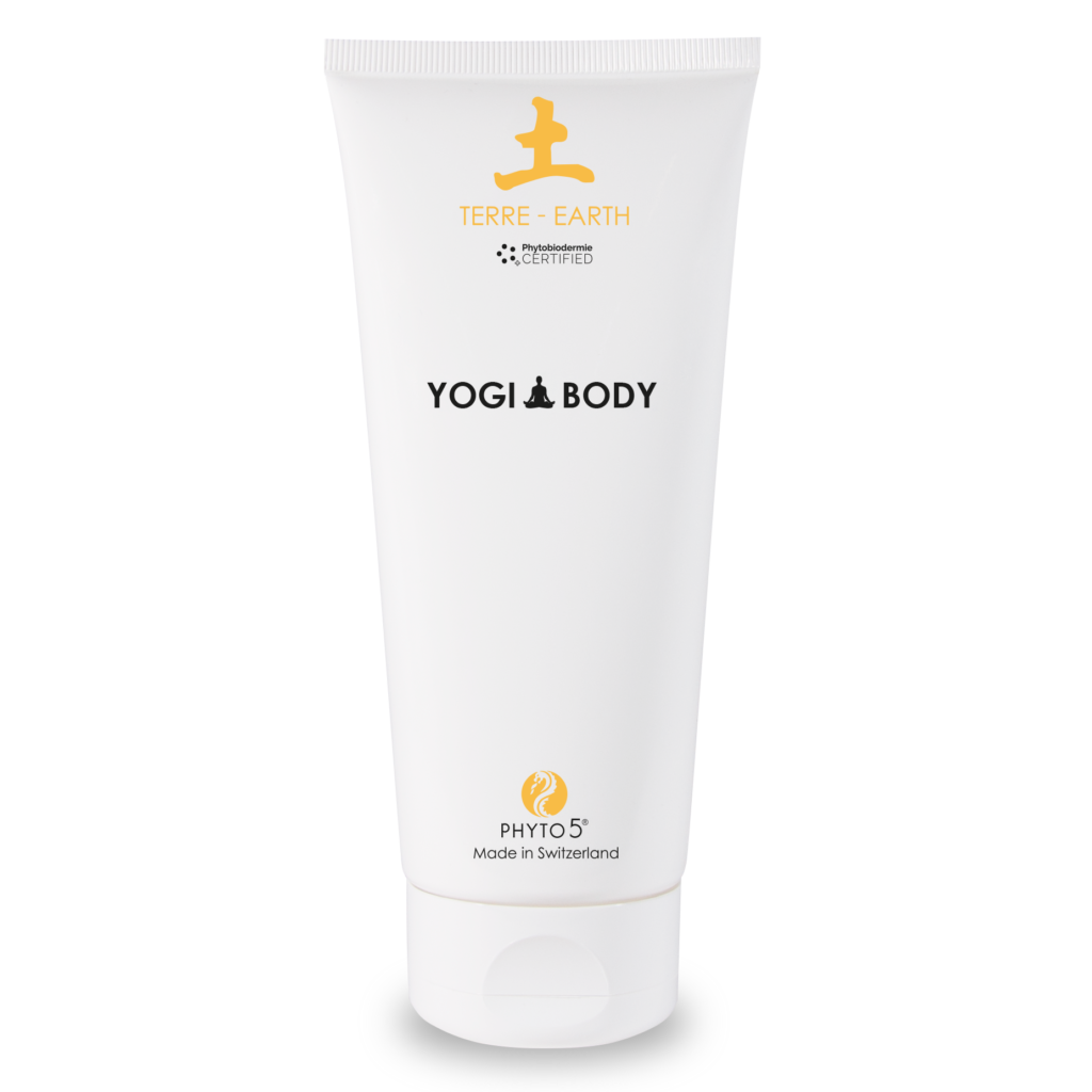 Yogi Body Earth Face Facts Healing Day Spa in Boston's South End