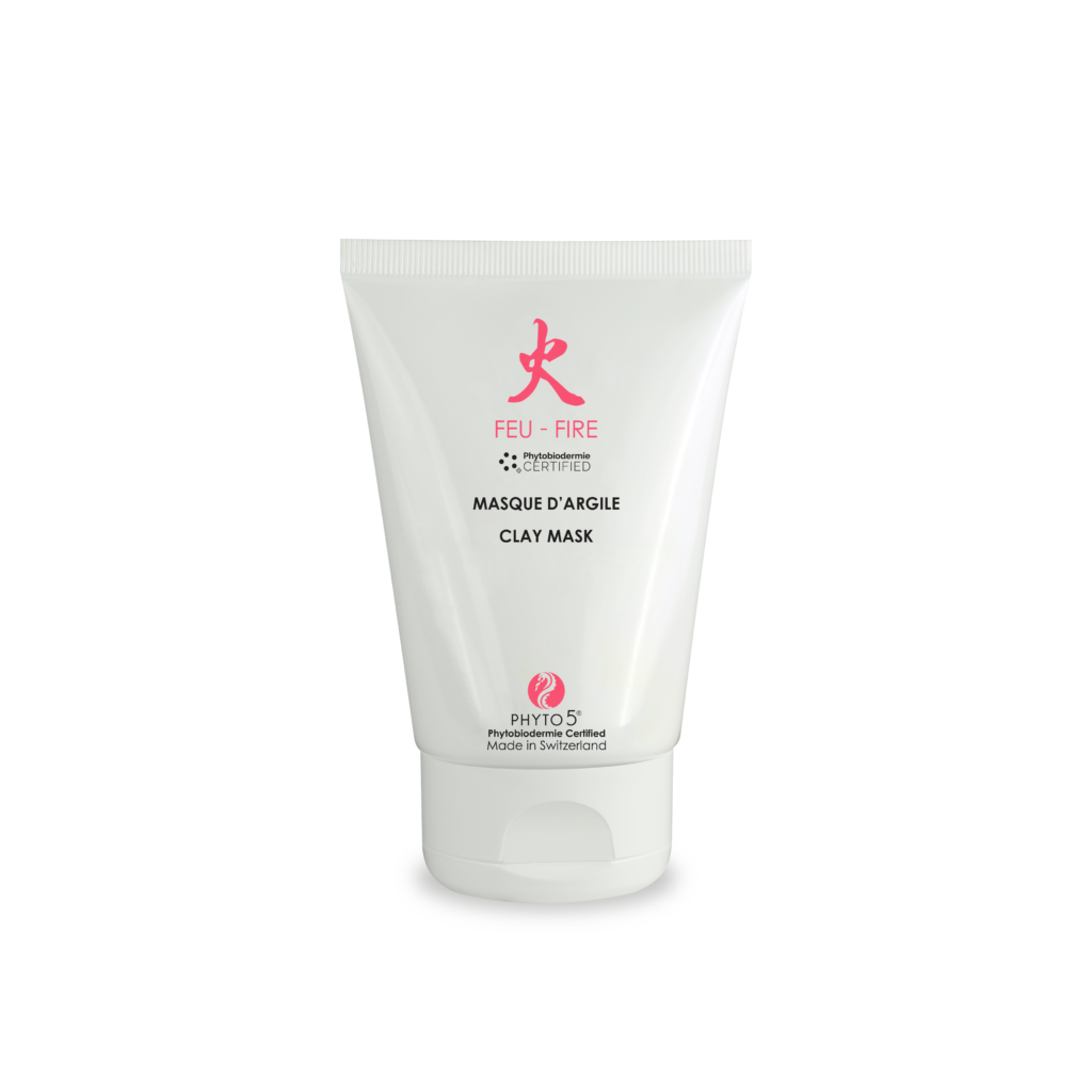 Red Clay Mask Face Facts Healing Day Spa in Boston's South End